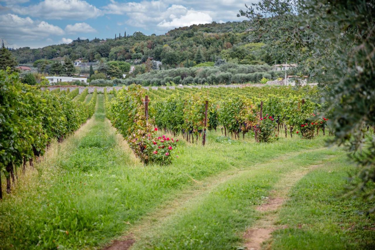 Agriturismo Borgata Levita Бардолино Екстериор снимка